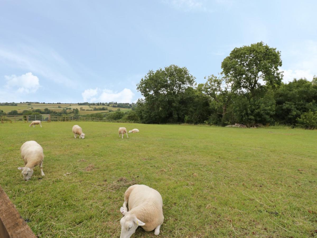 Holmer Farm Leominster Luaran gambar